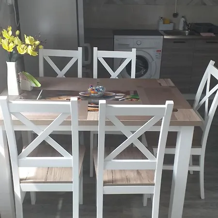 Przy Papierni Apartment *