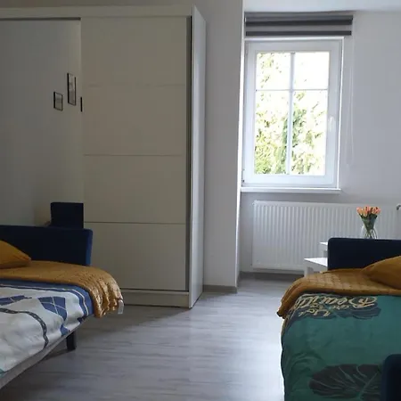 Apartment Przy Papierni
